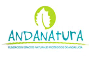 Convocada la VIII Edición del Galardón Andanatura