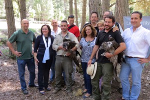 La Fundación Gypaetus libera dos Quebrantahuesos en Cazorla