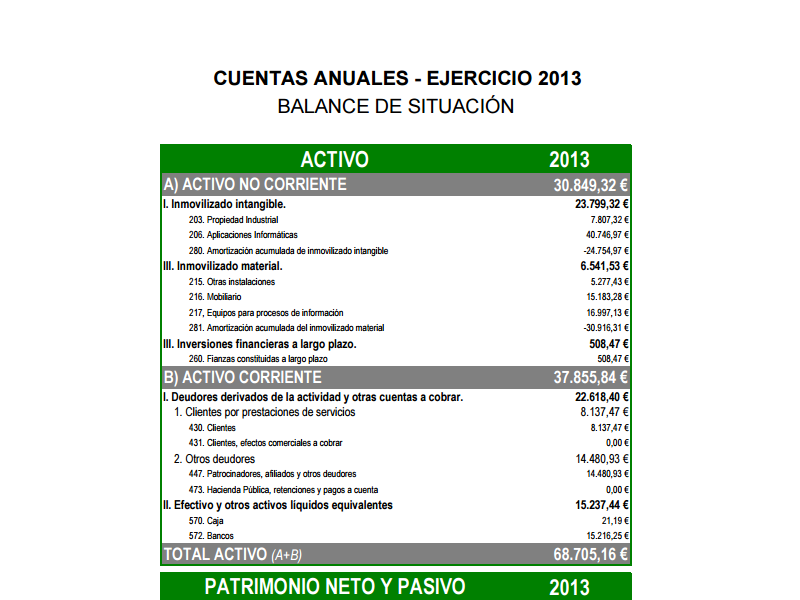 Cuentas Anuales 2013