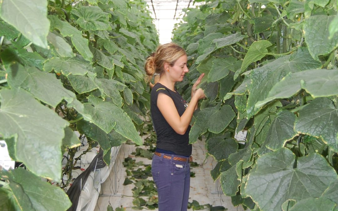 La Fundación Tecnova abre la bolsa de empleo de 2018 para registrar más de 30 perfiles profesionales del sector agroalimentario