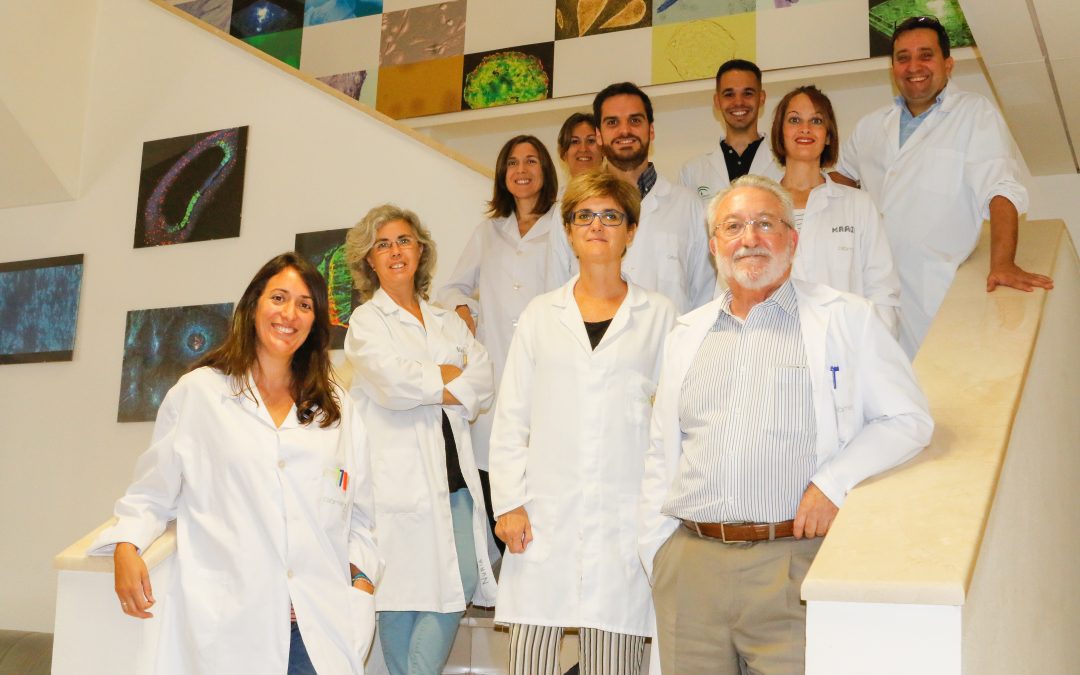 Investigadores de Cabimer trabajan en la prevención de los problemas neurológicos asociados al uso de la radioterapia en niños con cáncer