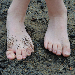 “Con los pies en la tierra” será la nueva actividad en la semana blanca del Museo Thyssen