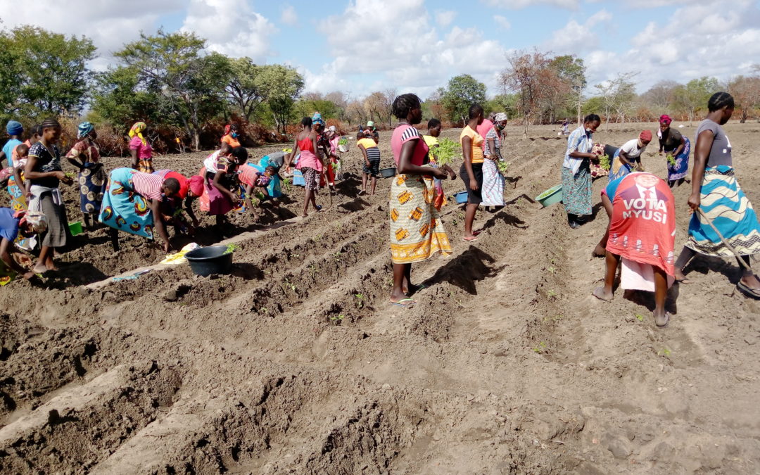 Madre Coraje y la AACID apoyan a dos distritos de Mozambique en materia de agua, alimentación y género