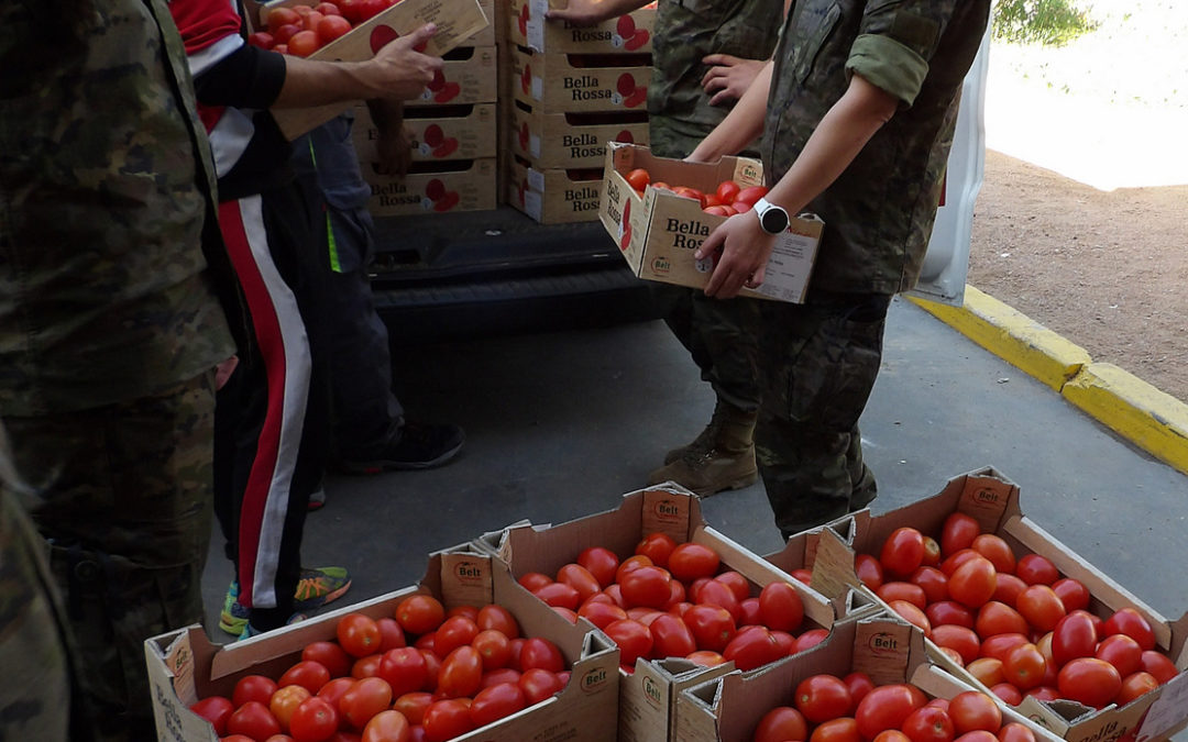 Voluntarios de la Brigada de Cerro Muriano en colaboración con el Banco de Alimentos en Córdoba