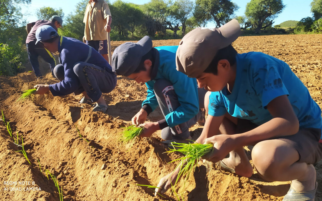 El Parlamento Andaluz presta su ayuda para la mejora de la alimentación y salud de la niñez boliviana afectada por la Covid-  19