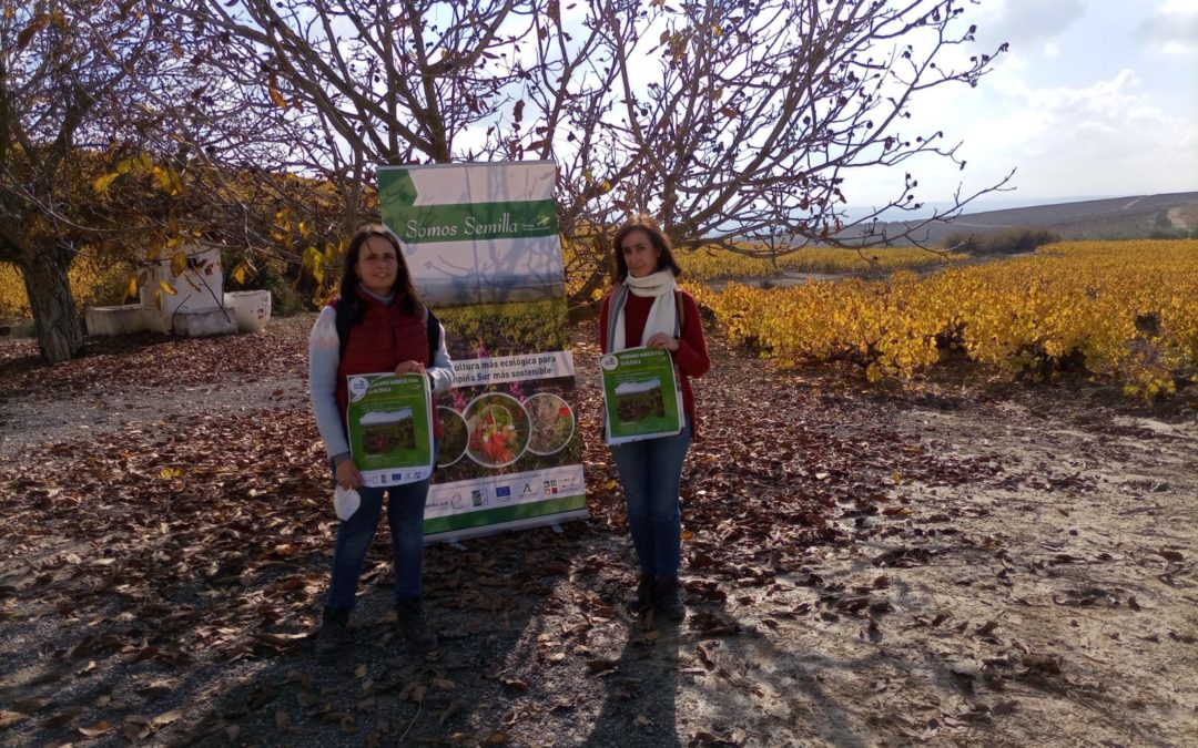 La FSU imparte el segundo seminario sobre viticultura sostenible dirigido a jóvenes profesionales de la comarca