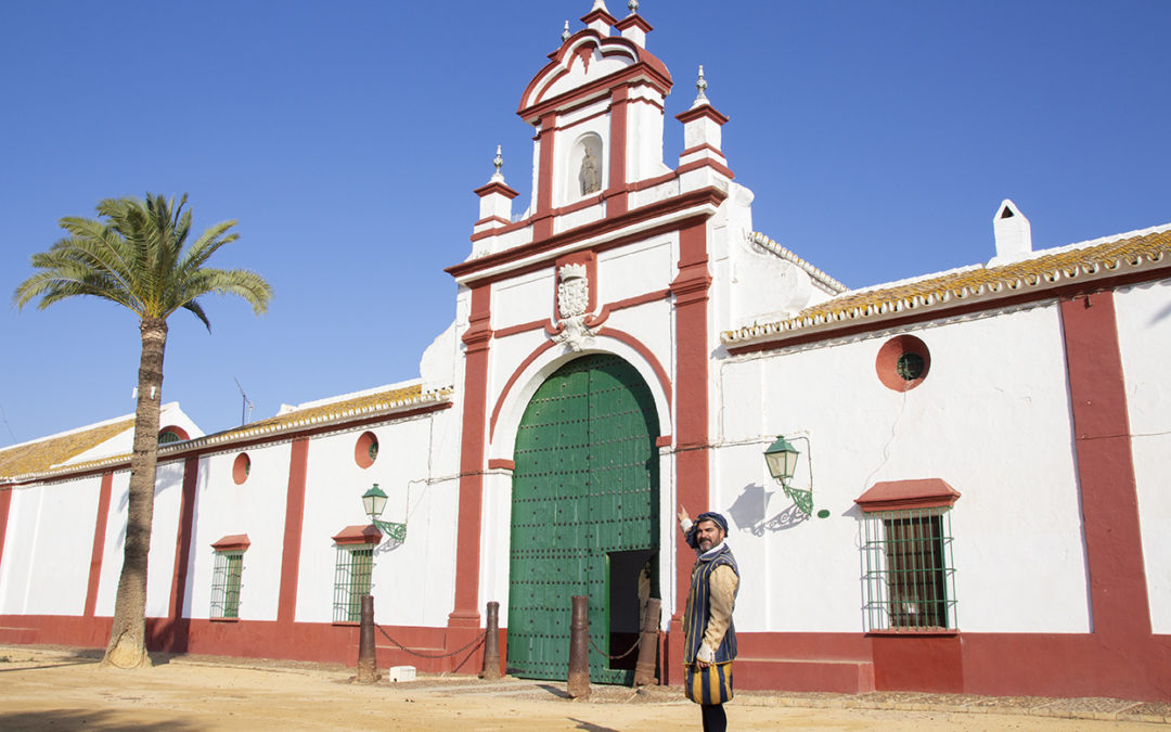 La Fundación Juan Ramón Guillén reanuda el programa de cultura aceitera Planeta Olivo, tras dos años suspendido por la pandemia