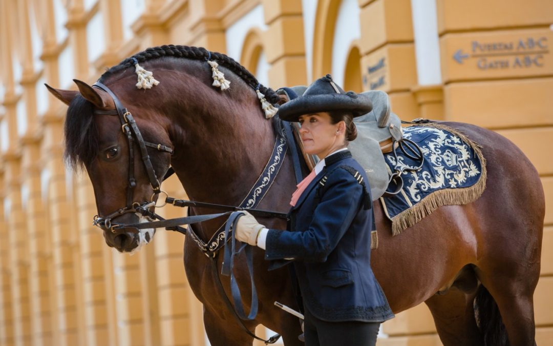 Belén Bautista, Caballo de Oro 2022