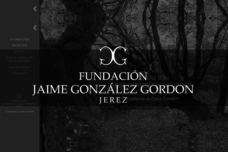 Fundación Jaime González-Gordon