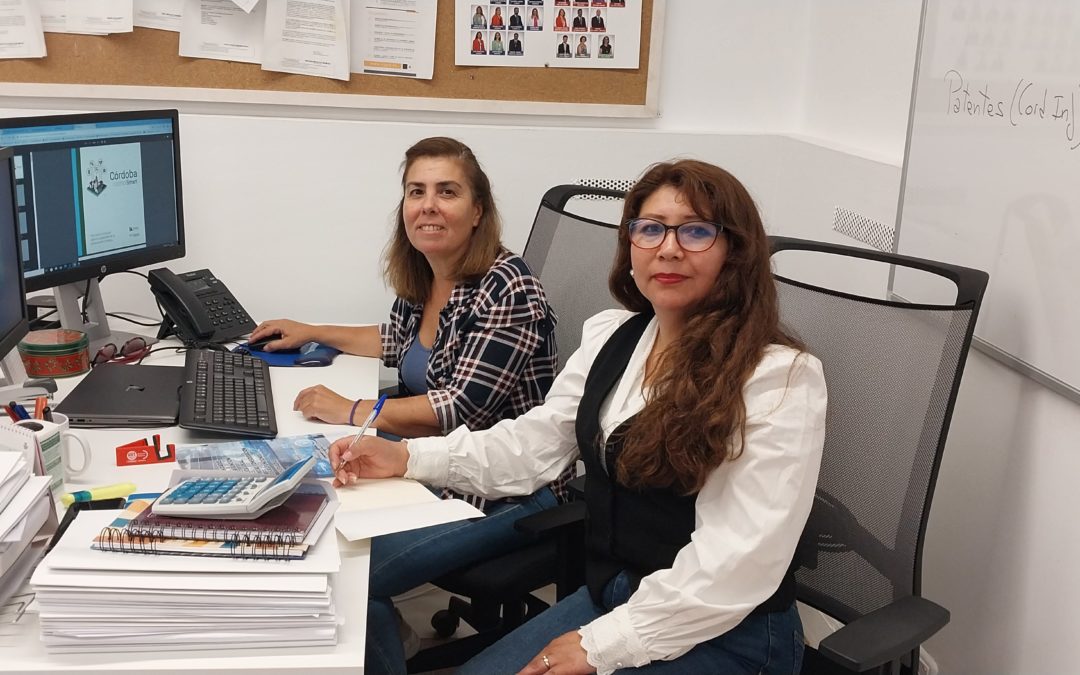 Dos técnicos peruanos participan en un programa formativo de transformación digital de la gestión pública en empresas de la Diputación de Córdoba