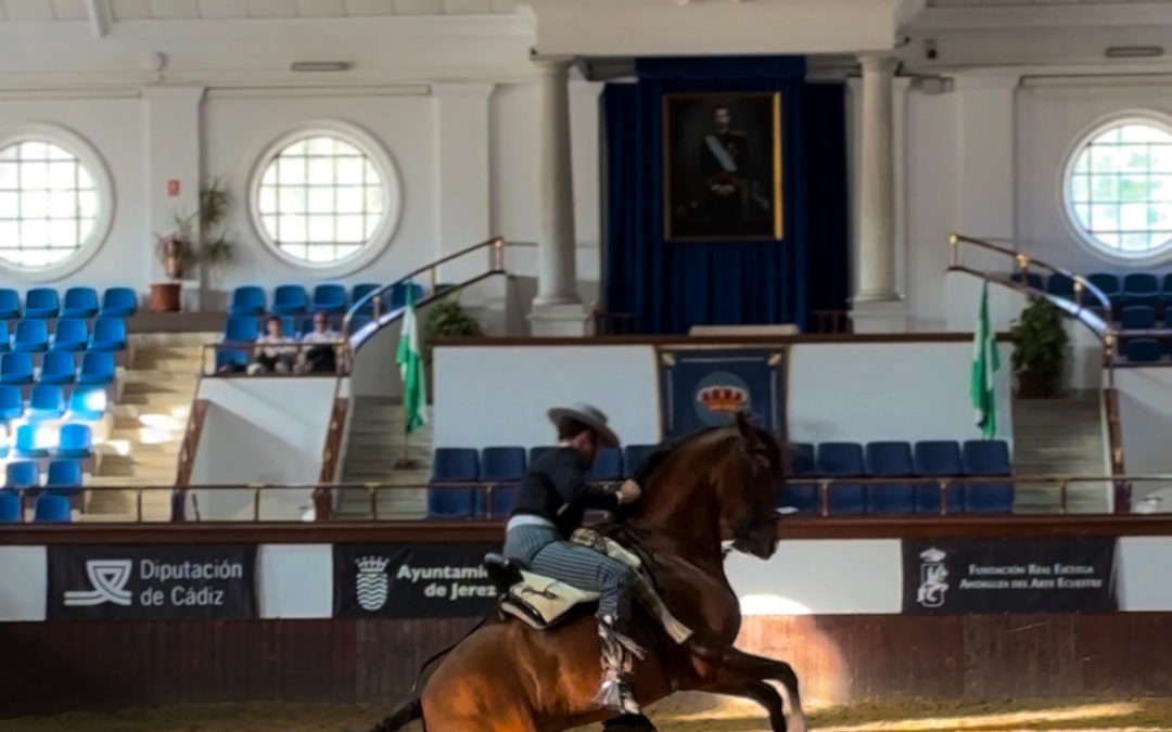 La Real Escuela acogió el XIX Campeonato de España de Menores de Doma Vaquera y el Concurso Nacional de Doma Vaquera de Caballos Jóvenes