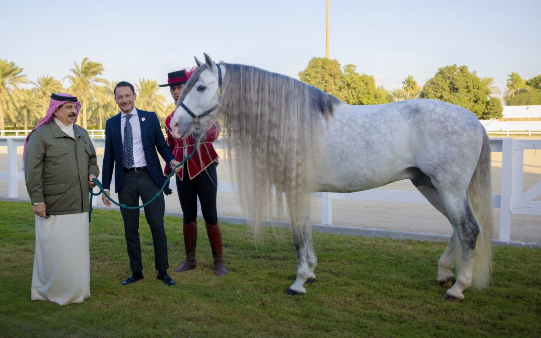 Su Majestad el Rey de Bahréin recibe a Córdoba Ecuestre en su Palacio