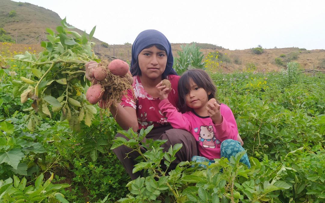 Diputación de Córdoba y FSU cooperan por la diversidad productiva y la seguridad alimentaria en comunidades rurales de Bolivia