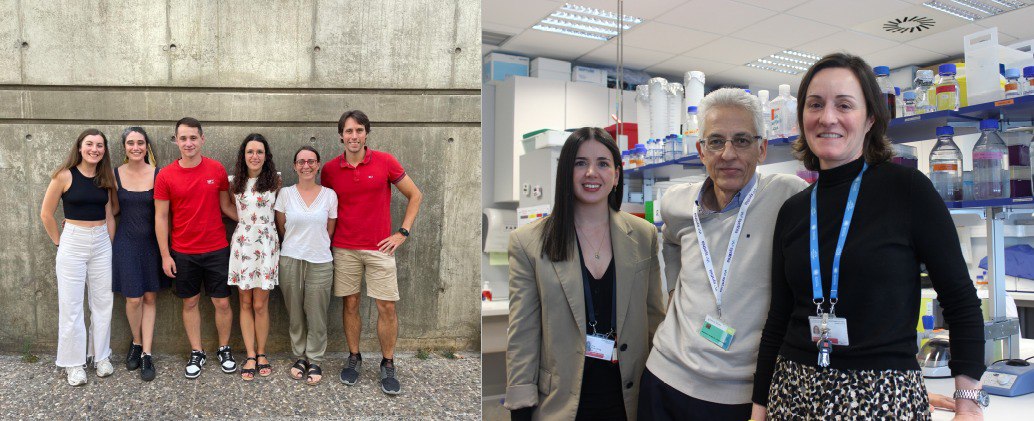 Fundación La Colmena anuncia los ganadores de sus Becas a la Investigación 2024