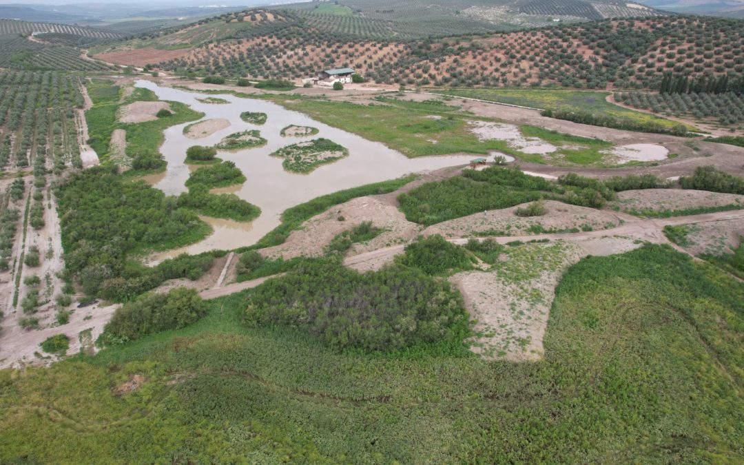 Montilla celebra el Día Mundial de los Humedales  «El valor del agua en la mejora de la biodiversidad en la Laguna de Jarata»