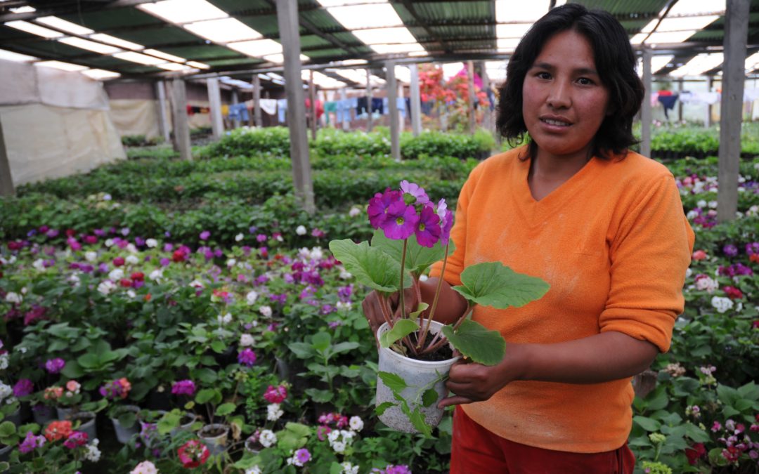 La AACID colabora con la FSU para mejorar la autonomía económica de mujeres y jóvenes en 7 municipios de Cusco