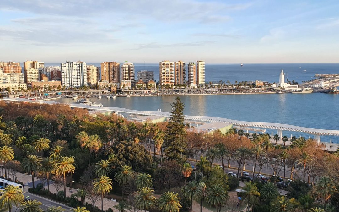 Althenia Sando desarrolla una herramienta para medir la capacidad del arbolado urbano de mitigar el cambio climático